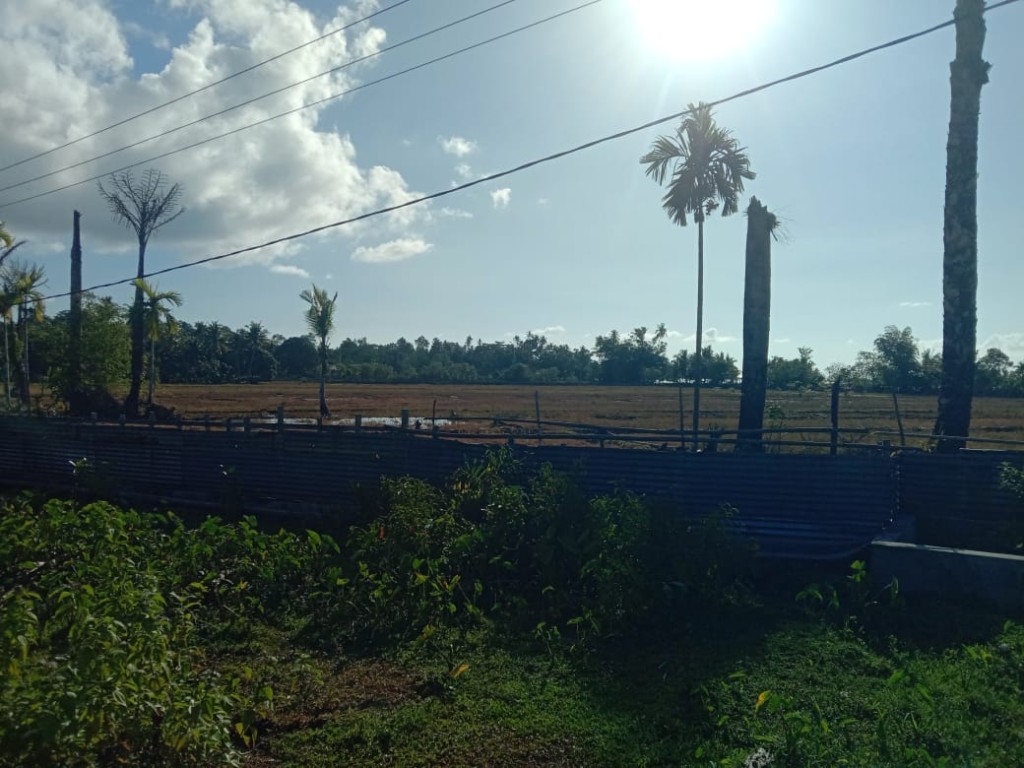 LAHAN PERSAWAHAN